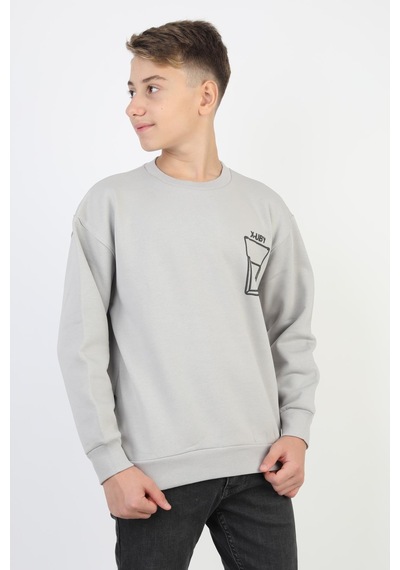 Baskı Detaylı Bisiklet Yaka Erkek Çocuk Sweatshirt-90910 Gri