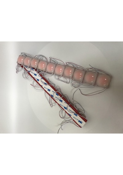 12 Volt 2.4 Watt Lensli Modül Kırmızı (10 Adet)