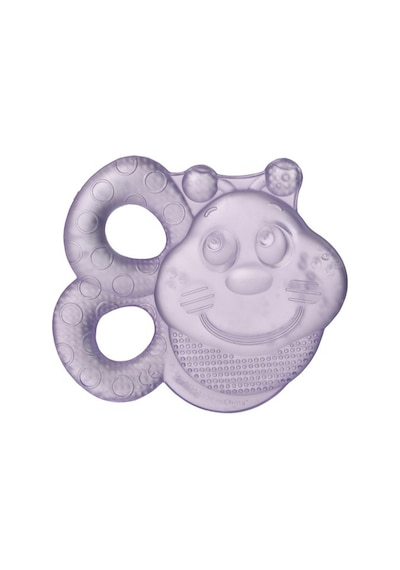 Playgro Sulu Dişlik Arı (2'Li Paket) Çok Renkli
