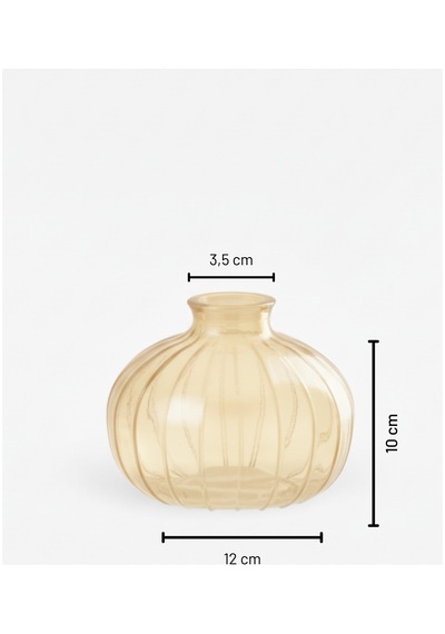Chacha Home Modern 3'lü Minimalist Cam Çiçek Vazosu Dekoratif Masa Üstü Vazo Seti Bal