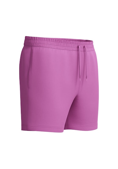 Speedo Essentials Watershort Erkek Şort Mayo Mor