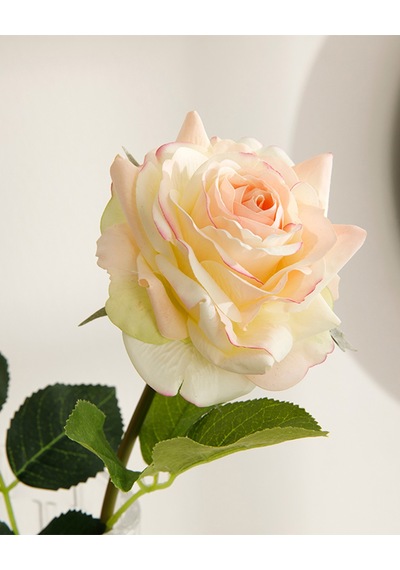 Canker Bloom Kumaş Tek Dal Yapay Çiçek Krem