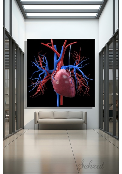 Duvar Tablosu Kare Kanvas Bypass Kalp Anatomisi Aort Damar Cerrahı Kardiyoloji 3d Çok Renkli