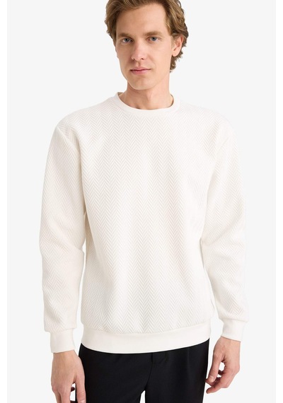 Defacto Regular Fit Bisiklet Yaka Sweatshirt F9854ax26spwt32 Beyaz-wt32