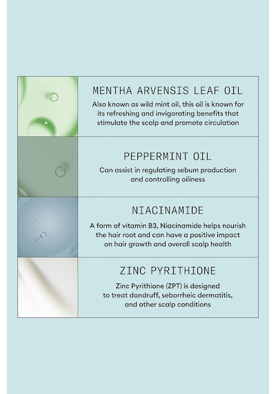 Nioxin Scalp Recovery Kepek Ve Kaşıntı Karşıtı Saç Bakım Seti Tüm Saçlar