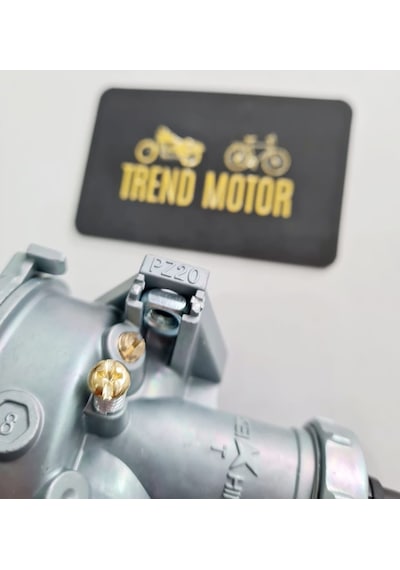Cup Karbüratör , Performans Tüm Cup Motorlarda Pz20