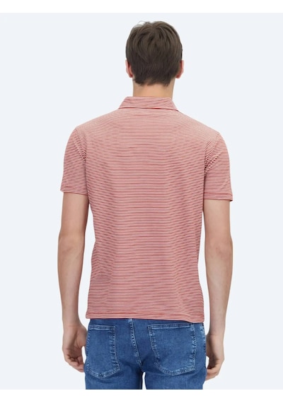 Kip Kiremit Polo Yaka %100 Pamuk T-shirt KIREMIT