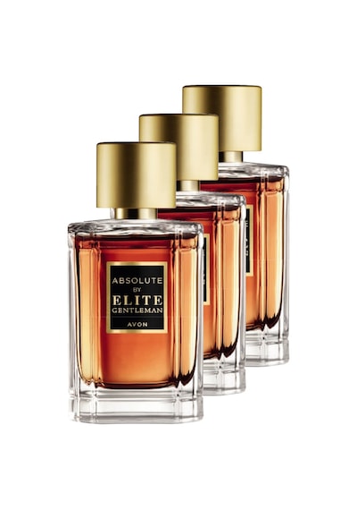 Avon Absolute By Elite Gentleman Erkek Parfüm 3'lü Set EDT 50 ML