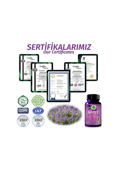 Gökçek Şifa Hayıt 60 Kapsül