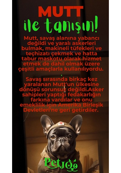 Petjoo 10.Mutt Yeşil-Kırmızı Qr'lı Köpek Künyesi