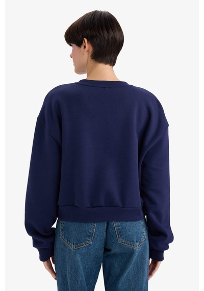 Defacto Boxy Fit Bisiklet Yaka İşlemeli Kalın Sweatshirt G2153ax25wnnv28 Lacivert