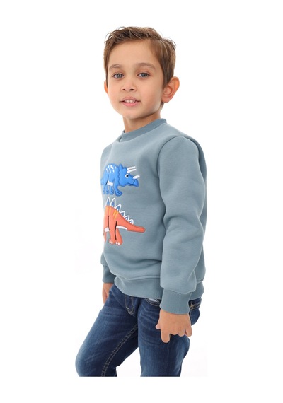 Toontoy Kids Toontoy Erkek Çocuk Nakışlı Sweatshirt Açık Mavi