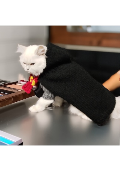 Kedi Ve Köpek İçin Harry Potter Kostümü Cüppe, Kazak, Kaşkol Ve Gözlük Takım