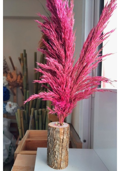 Pembe Dekoratif Doğal Pampaslı Kütük Saksılık, Etkinlik, Düğün & Eğlence Masa Süs & Dekor Krem