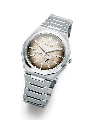 Citizen Zenshin 60 Nk5020-58p Erkek Kol Saati Gri