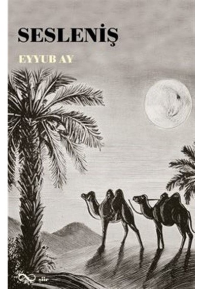 Sesleniş / Eyyub Ay