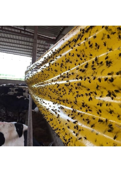 Karasinek Tuzagı Sinbant Ahırlar Çiftlikler Vs Için 30Cmx5O Metre