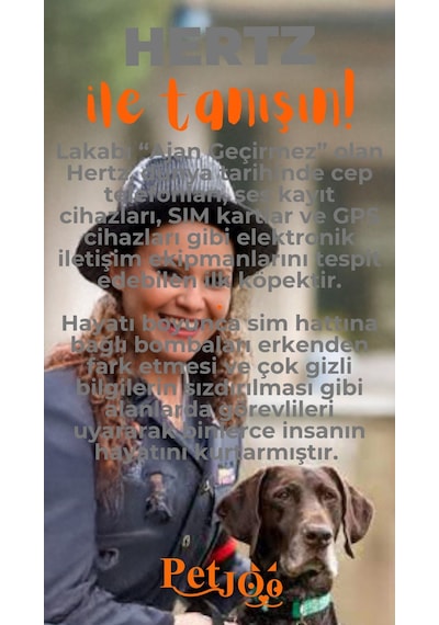 Petjoo 26.Hertz Turuncu-Gri Qr'lı Köpek Künyesi