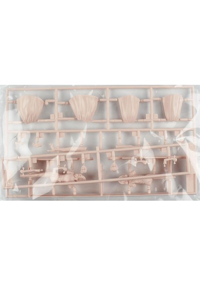 Hasegawa Fc10 29110 1/24 Ölçek, 50 Li Yılların Amerikan Kızları, Plastik Model Kiti-51516