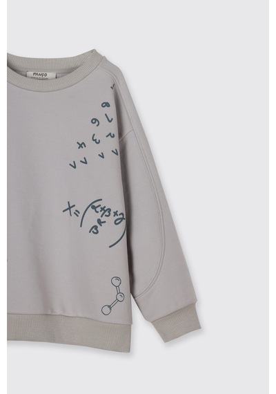 Panço Erkek Çocuk Baskılı Taş Sweatshirt Gri