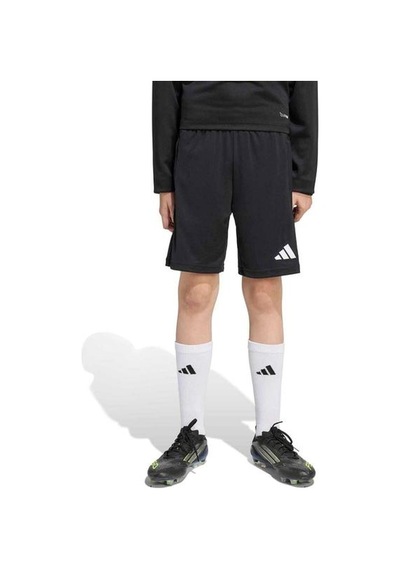 Adidas Entrada26 Training Çocuk Siyah Şort Siyah