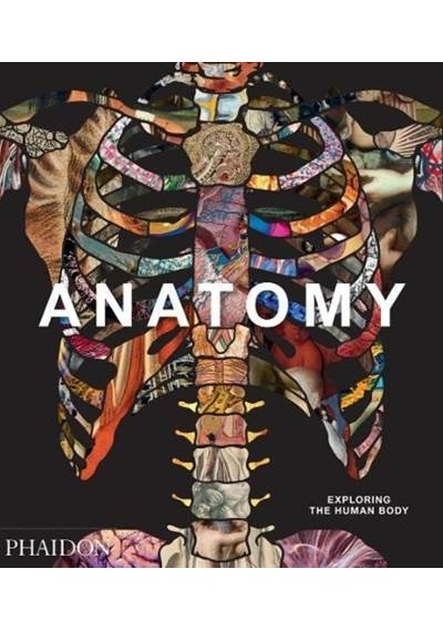 Anatomy: Exploring the Human Body (Explorer) - Phaidon Editors - Phaidon
