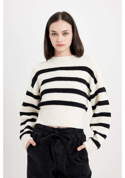 DeFacto Regular Fit Çizgili Bisiklet Yaka Triko Kazak	 R1285AZ24CWBK27