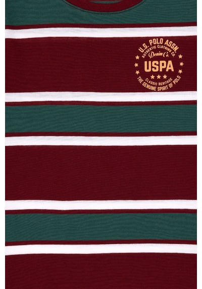 U.s. Polo Assn. Erkek Çocuk Bordo Tişört Basic 50295559-vr014 Bordo