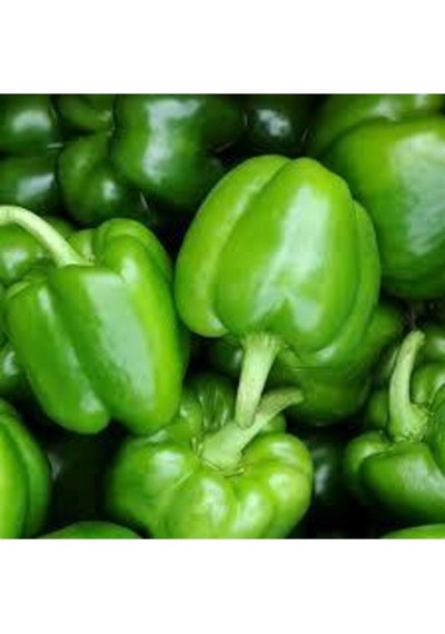 100 Adet Tohum Ince Kabuk Yeşil Dolmalık Biber Tohumu Organik Bahçe Saksılık Dolma Biber Saksı Topra