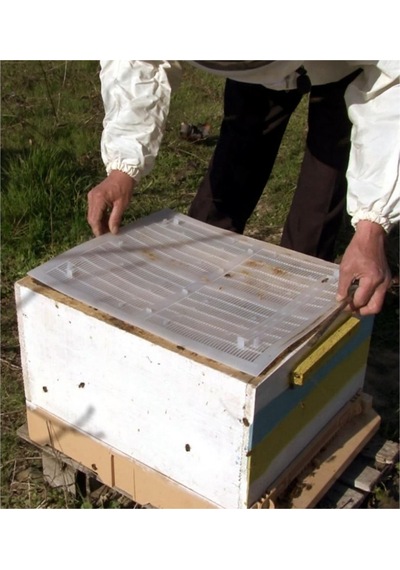 Propolis Tuzağı - Krem - Arıcılık