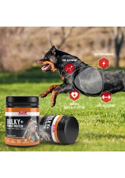 Bio Petactive Bulky Power Köpek Protein Tozu 368 G