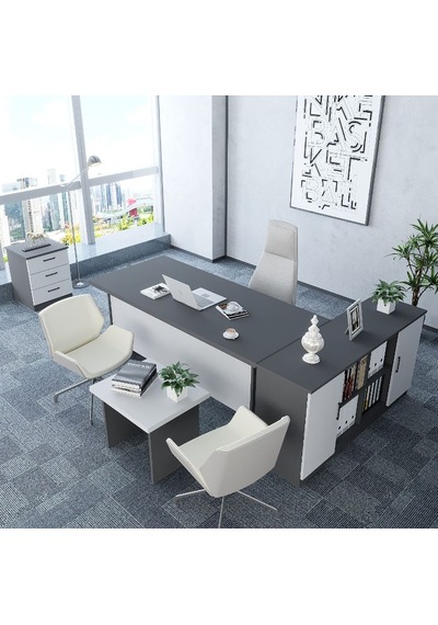 Pasha 4'lü Ofis Takımı  Model 6 Füme Beyaz