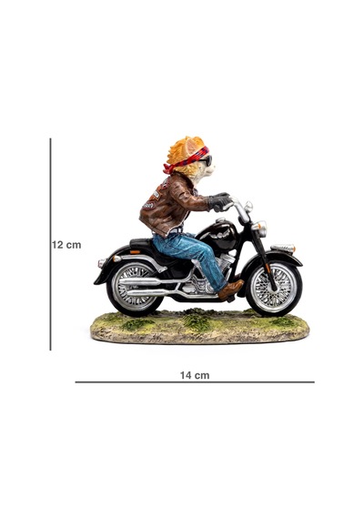 Motosikletli Minyatür Asi Kedi Biblosu Biker Cat