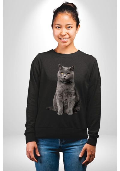 British Shorthair Kedi Unisex Siyah Sweatshirt Siyah
