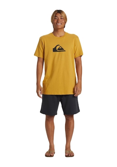 Quiksilver Aqyfb03035 Salt Water Fleece Erkek Spor Şort 001