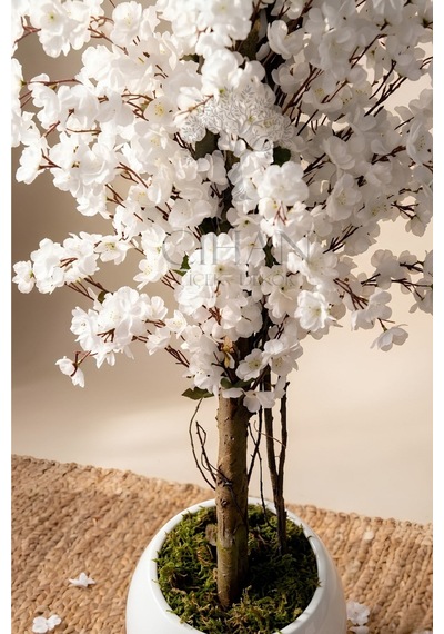 Cihan Çiçekçilik Yapay Beyaz Bahar Dalı Ağacı 200cm - 27x33 Cm Küre Saksılı