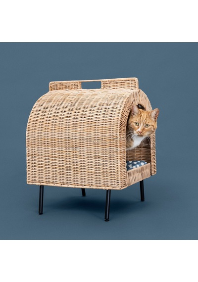 Utsadd Kedi Evi, Rattan