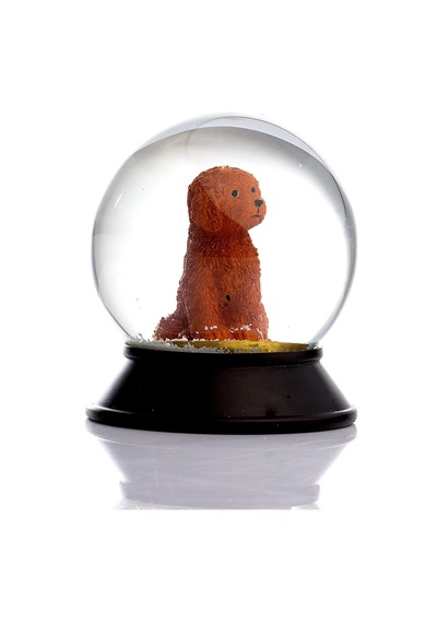 Cam Ve Reçine Altın Patiler Köpek Toy Poodle Tarçın Kar Küresi Hediye