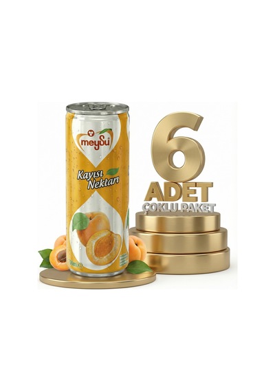 Meysu Kutu Kayısı 6x330 Ml