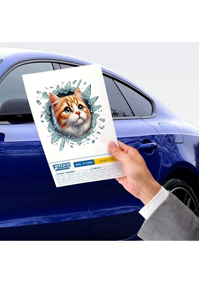 Fulcar Sarman Araç Stickerı Çok Renkli