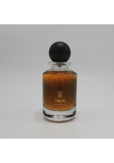 Royal Platinum Troy Erkek Parfüm EDP 100 ML