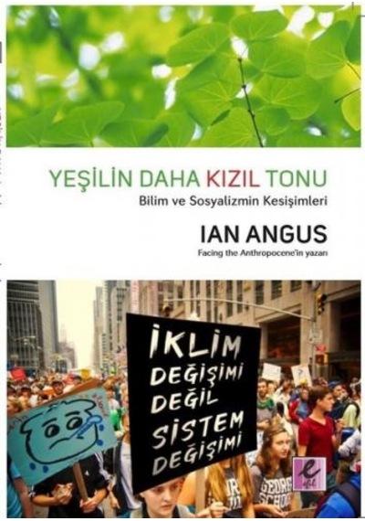 Yeşilin Daha Kızıl Tonu - Lan Angus - Efil Yayınevi Yayınları