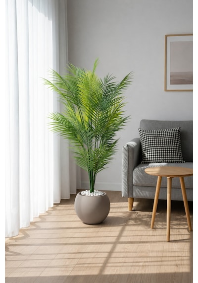 Biçiçek Areka Ağaci 24 Yapraklı 130 Cm Mocha Küre Saksıda