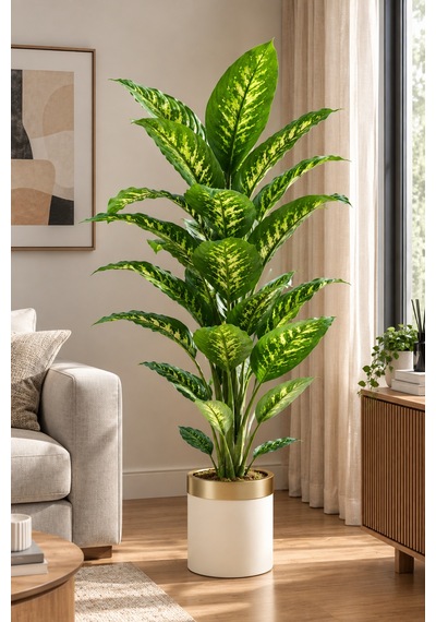 Yoğun Yapraklı Premium Difenbahya 160-170 Cm Yeşil-sarı 34 Yapraklı Çok Renkli