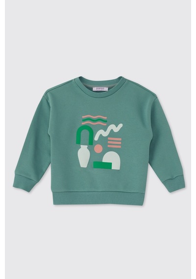 Panço Erkek Bebek Baskılı Yeşil Sweatshirt