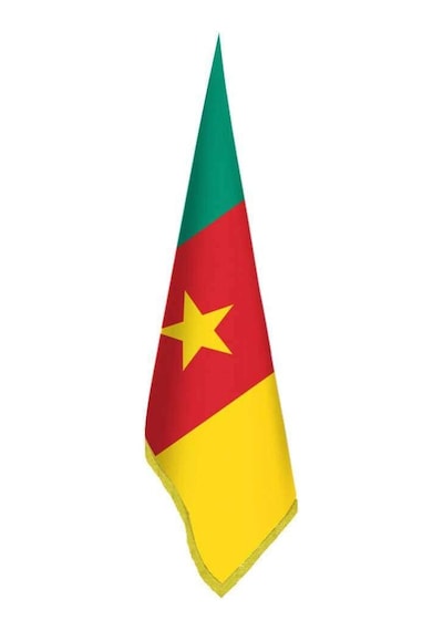 Kamerun Bayrak - Ofis-makam-toplantı Odaları - Saçaklı Makam Bayrağı 1