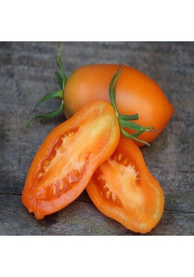Chukloma Orange Domates Tohumu 15 Tohum 1 Set