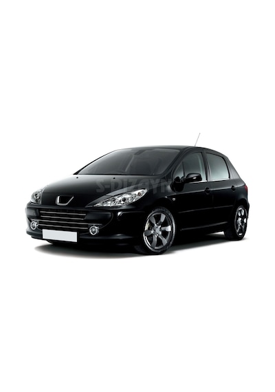 S-Dizayn  Peugeot 307 Krom Cam Çıtası 4 Prç 2001-2008