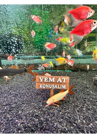 Akvaryum Tabela Dekoru Yem At Konuşalım 4.5x5 Cm Suya Batan Model Tbl-45-yem, One Size