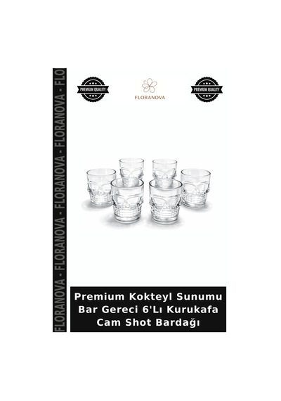 Premium Kokteyl Sunumu Bar Gereci 6'lı Kurukafa Cam Shot Bardağı